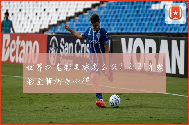 世界杯竞彩足球怎么买？2024年购彩全解析与心得