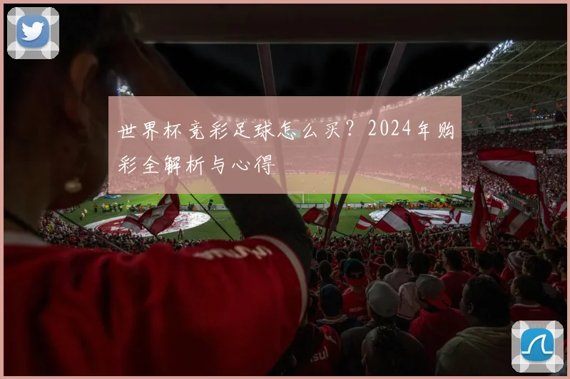 世界杯竞彩足球怎么买？2024年购彩全解析与心得