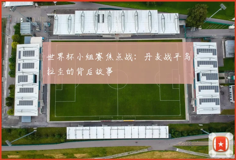 世界杯小组赛焦点战:丹麦战平乌拉圭的背后故事