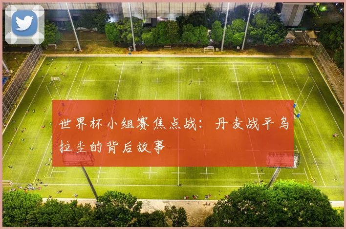 世界杯小组赛焦点战：丹麦战平乌拉圭的背后故事