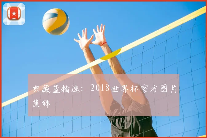 典藏蓝精选：2018世界杯官方图片集锦