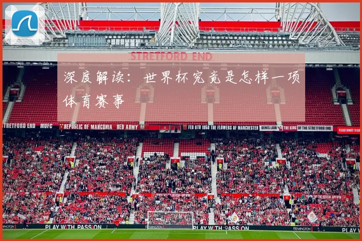 深度解读：世界杯究竟是怎样一项体育赛事