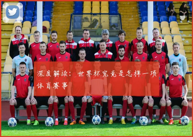 深度解读：世界杯究竟是怎样一项体育赛事